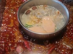 -二荆条·蜀鲜汇城市森林火锅