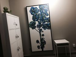 -奈瑞儿美颜塑身SPA