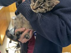 -美联众合动物医院·24h京西诊疗中心