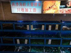 水产区-金苑海鲜酒家(新港中路店)