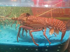-阿伟海鲜楼·福建菜(延寿店)