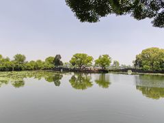 -无锡蠡湖国家湿地公园-蠡园