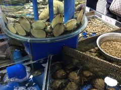 -张树军海鲜(王府壹号店)