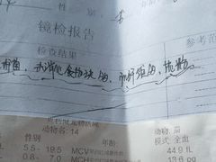 -宠颐生贝利健动物医院(谢家湾分院)