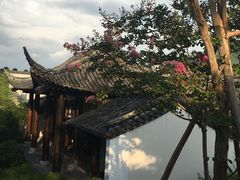 -帐篷客·溪龙茶谷度假酒店