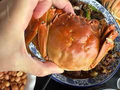 -渔娘蟹庄(阳澄湖莲花岛店)