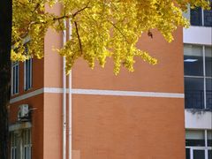 -四川大学(望江校区)