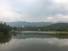 -田野绿世界