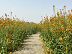 -中国天府农业博览园