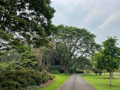 -中国科学院西双版纳热带植物园