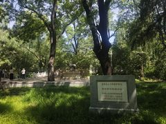 -北京动物园-畅观楼