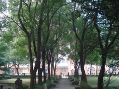 绿化庭院-上海交通大学医学院附属瑞金医院(总院)