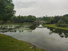-贡湖湾湿地公园