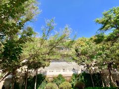 -郭莽湿地