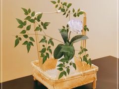-希望日本料理(保利香槟花园店)