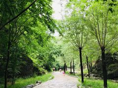 -十渡东湖港风景区