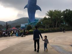 -珠海横琴长隆《卡卡虎奇遇记》