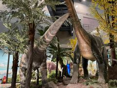 -湖南省地质博物馆