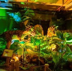 -恐龙探索乐园(磁器口店)