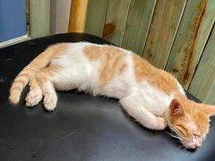 -梁掌门老梁干挑(凤凰路店)