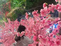 -凤城·食都