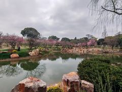 -无锡梅园公园