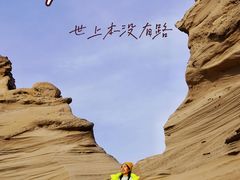 -哈密雅丹大海道景区