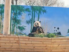 -秦皇岛野生动物园