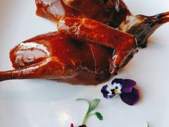 -上海雅居乐万豪侯爵酒店