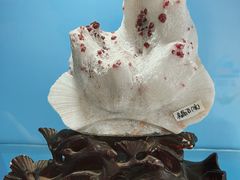 -中国第四纪冰川遗迹陈列馆