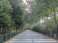 -北坞公园