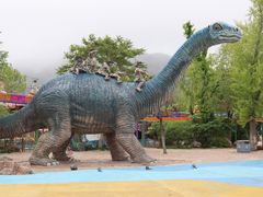 -大连老虎滩海洋公园