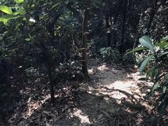 -广州市白云山风景名胜区