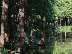 -尚湖风景区