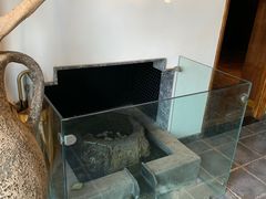 -泉畔人家·老济南经典鲁菜(大明湖店)