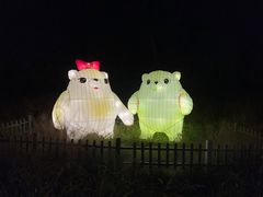 -大塘金香草谷
