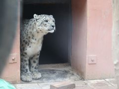 -青藏高原野生动物园