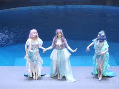 -烟台海昌鲸鲨海洋公园