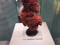 -上海中国航海博物馆