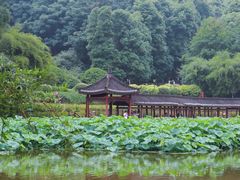 -龙头寺公园