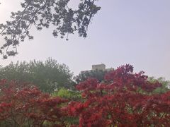 -元大都城垣遗址公园