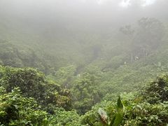 -海口火山口国家地质公园