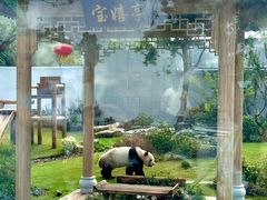 -无锡动物园·太湖欢乐园