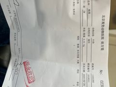 -北京观赏动物医院·24小时大型综合·猫专科·异宠专科