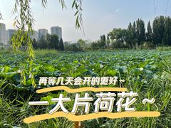 -将府公园