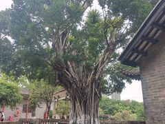 -东莞市可园博物馆