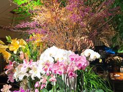 -春暖花开(西溪店)