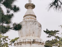 -黄鹤楼