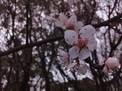-苏州上方山国家森林公园