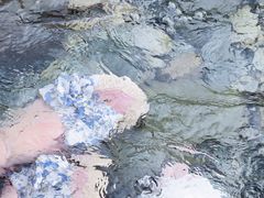 -虹口漂流